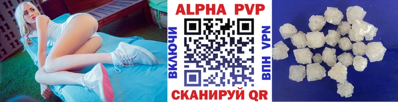 Альфа ПВП СК  Хасавюрт 
