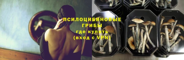 спиды Абаза