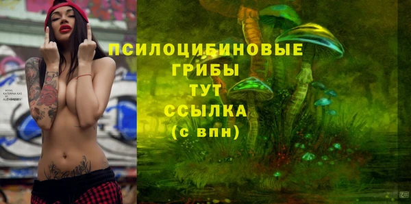 спиды Абаза